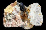 Vibrant Azurite Crystal On Matrix - Morocco #74685-3